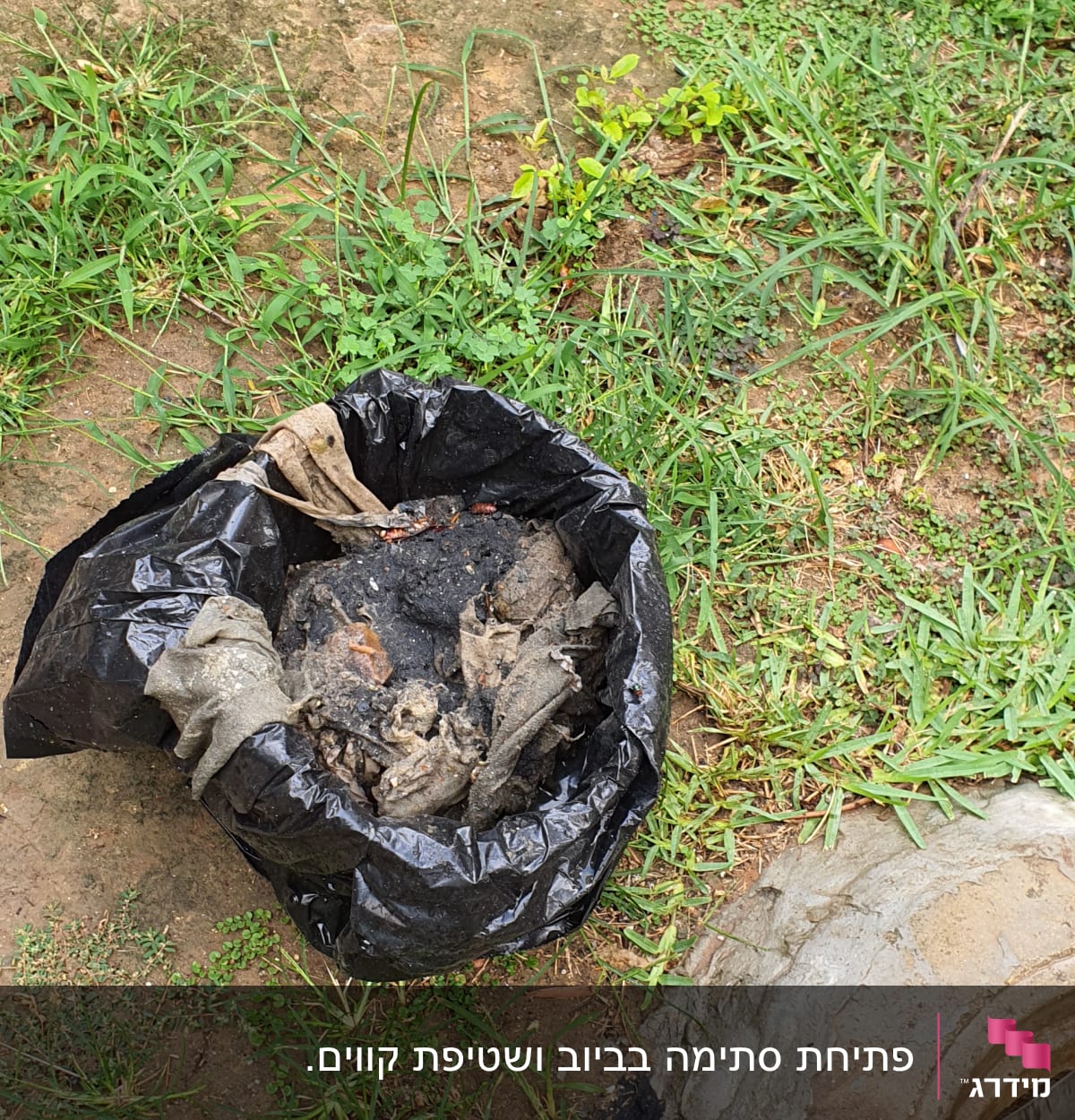 שקית שחורה עם פסולת ליד פתח ביוב